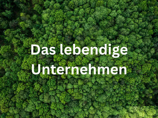 HR-Insights & Führungsimpulse